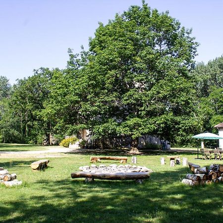 Villabry La Ferté-Saint-Cyr Dış mekan fotoğraf